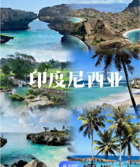 电商(印尼)产业博览会新葡京2025中国国际