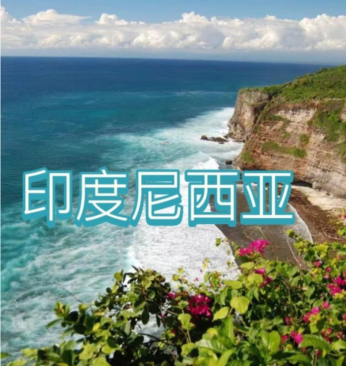 电商(印尼)产业博览会新葡京2025中国国际(图3)